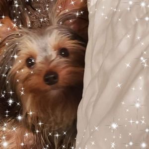 Meet your Posher, Kaci